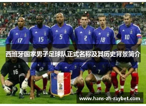 西班牙国家男子足球队正式名称及其历史背景简介