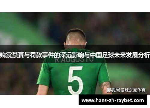 魏震禁赛与罚款事件的深远影响与中国足球未来发展分析 魏震禁赛与罚款事件的深远影响与中国足球未来发展分析
